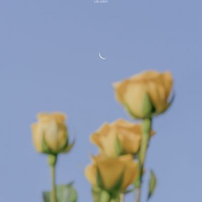 终极战犯无限刀手游下载