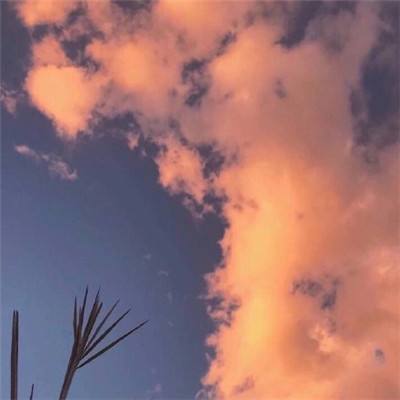 我是大魔头官方下载