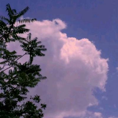 率土之滨魅族客户端下载